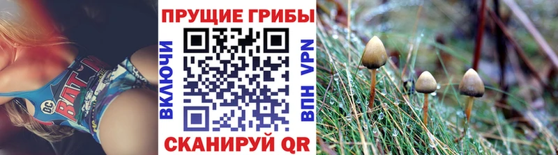 Псилоцибиновые грибы GOLDEN TEACHER Южно-Сахалинск